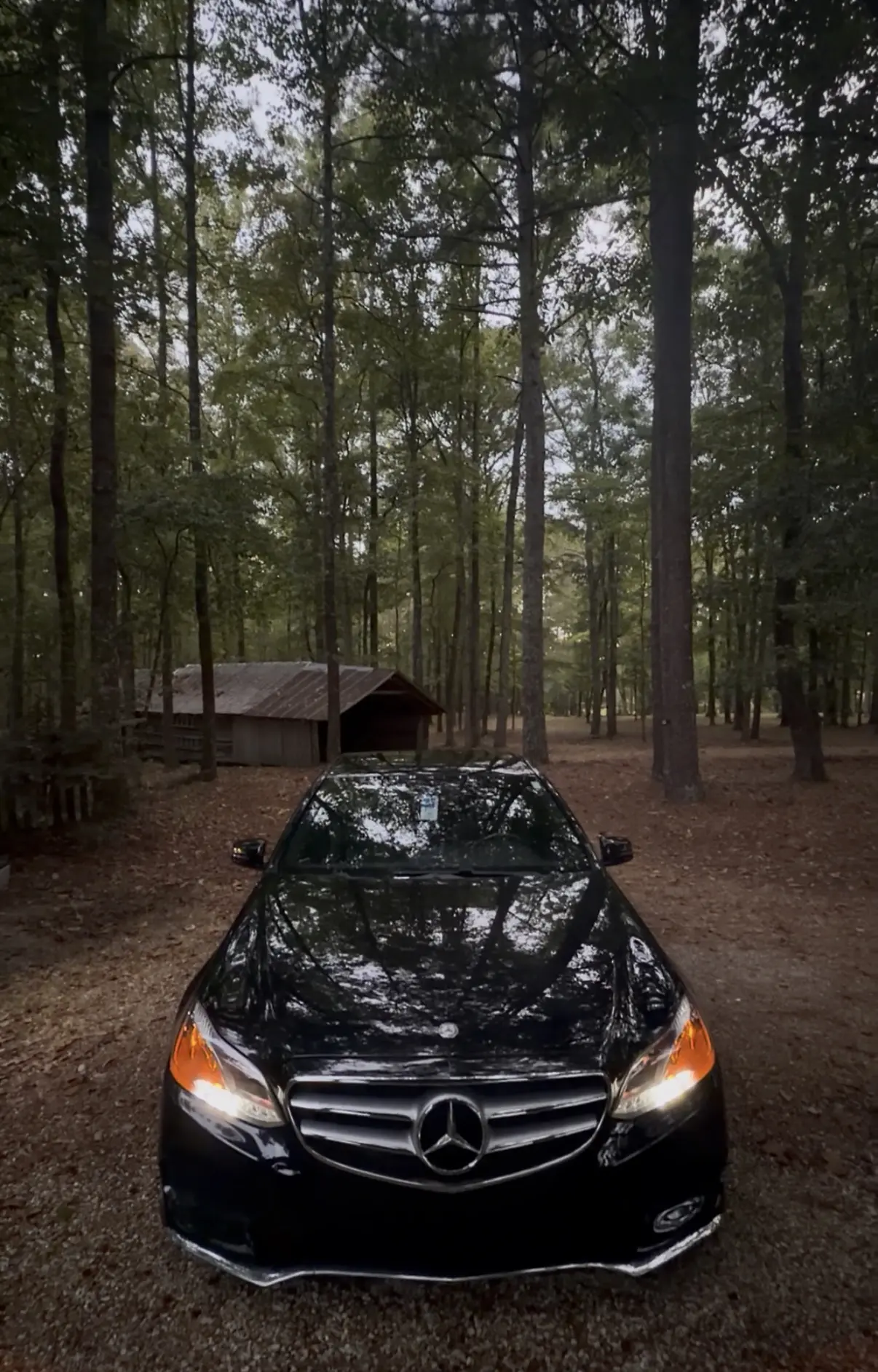 Black Mercedes-Benz detailed by Luna & Sol