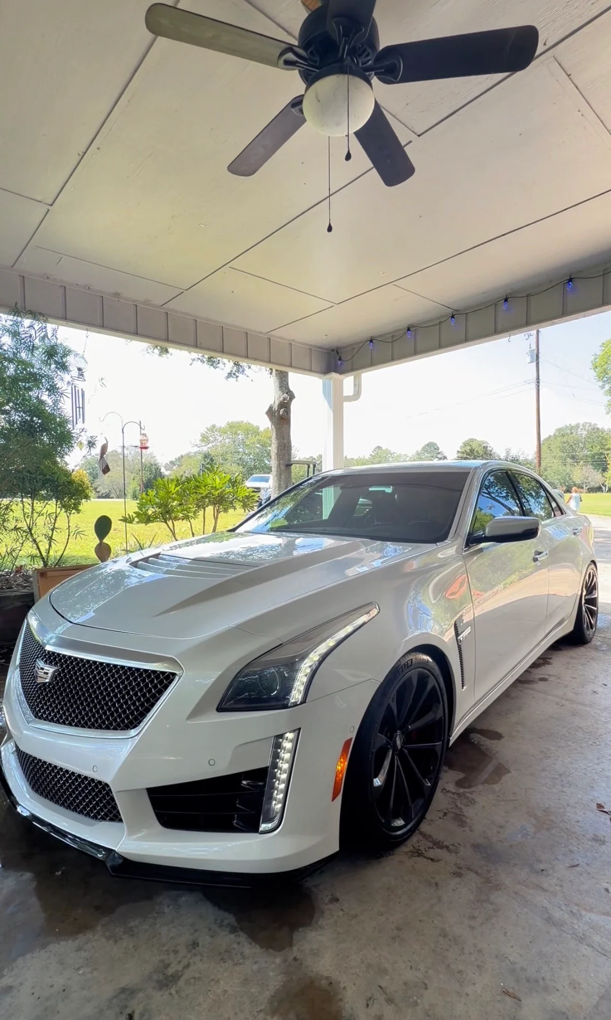 White Cadillac sedan detailed by Luna & Sol